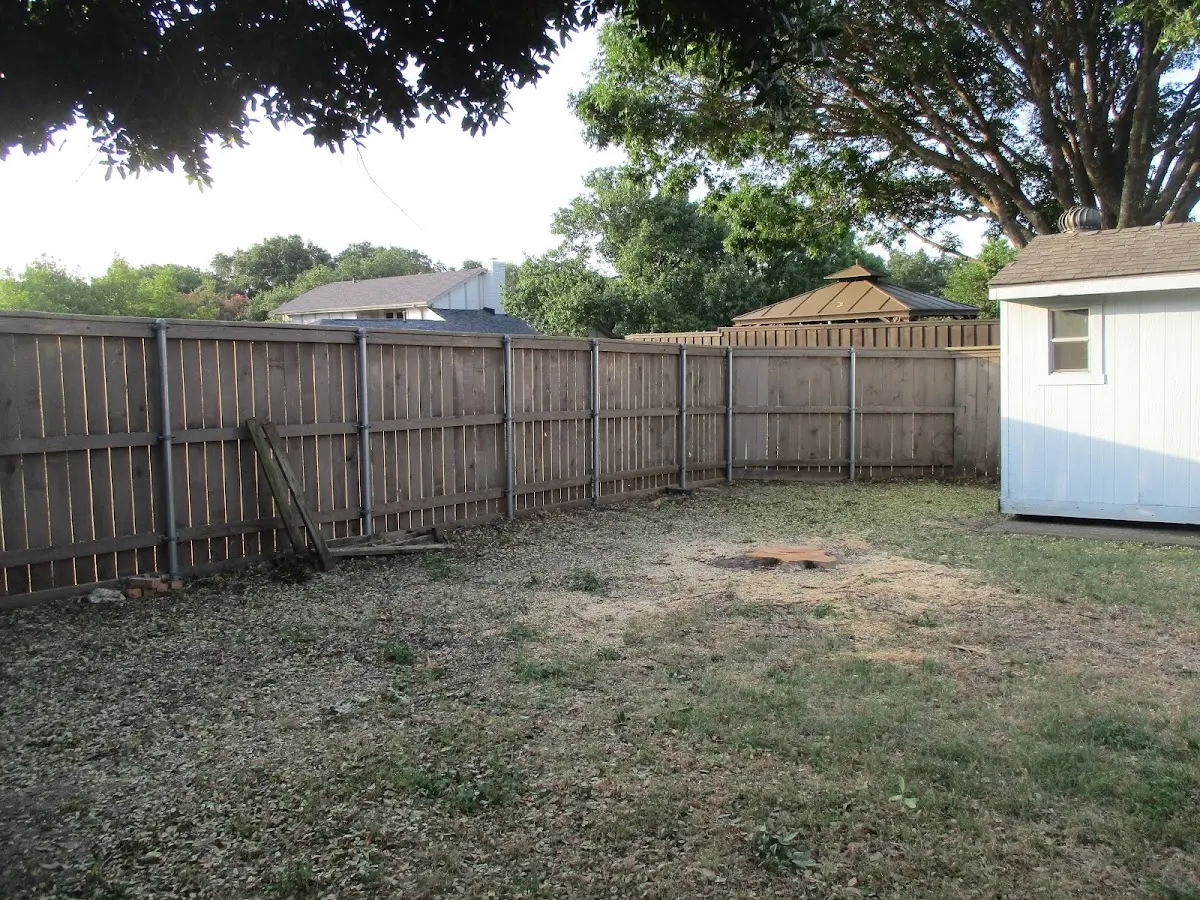 Cleared yard after professional tree removal in Alstead